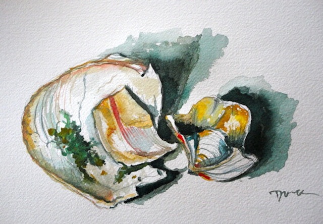 The Underside of Sea Shells ©Dora Sislian Themelis 8x12 Watercolor, Arches paper